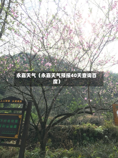 永嘉天气(永嘉天气预报40天查询百度)-第1张图片