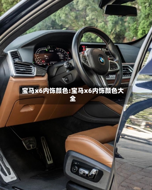 宝马x6内饰颜色:宝马x6内饰颜色大全-第1张图片