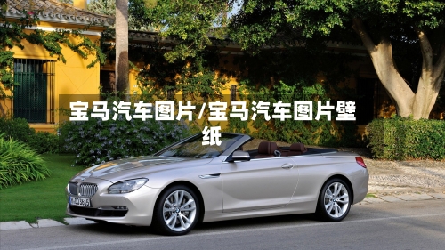 宝马汽车图片/宝马汽车图片壁纸-第1张图片