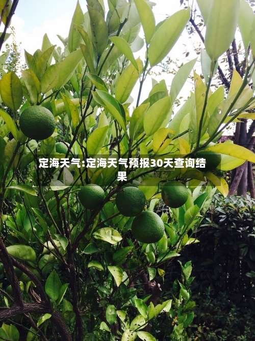 定海天气:定海天气预报30天查询结果-第1张图片