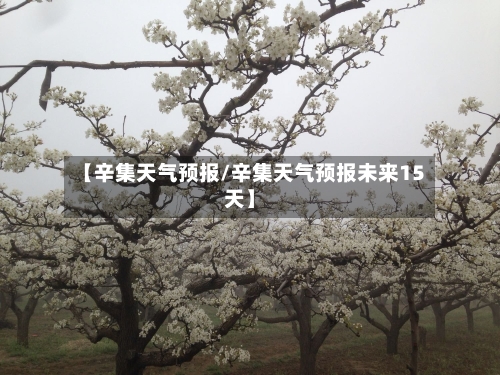 【辛集天气预报/辛集天气预报未来15天】-第1张图片