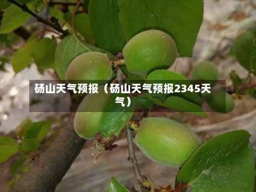 砀山天气预报(砀山天气预报2345天气)-第1张图片