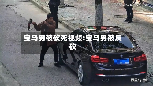 宝马男被砍死视频:宝马男被反砍-第1张图片
