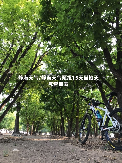 静海天气/静海天气预报15天当地天气查询表-第1张图片