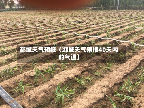 郯城天气预报(郯城天气预报40天内的气温)-第1张图片