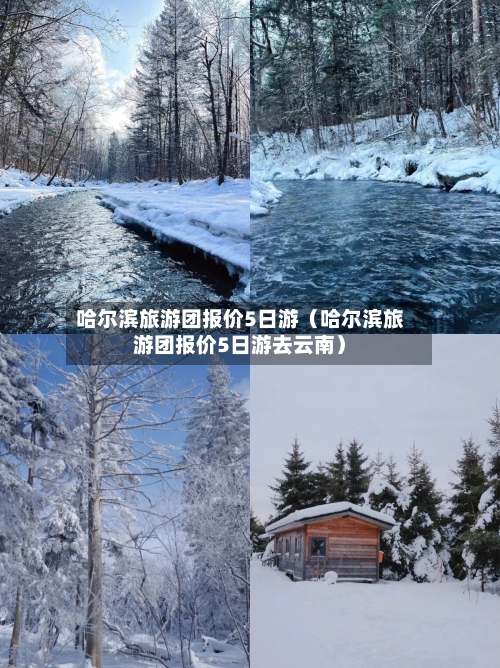 哈尔滨旅游团报价5日游(哈尔滨旅游团报价5日游去云南)-第1张图片