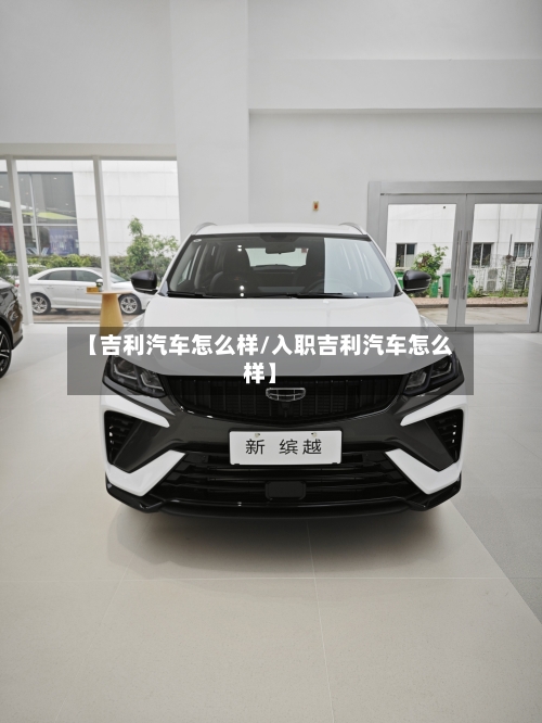 【吉利汽车怎么样/入职吉利汽车怎么样】-第1张图片