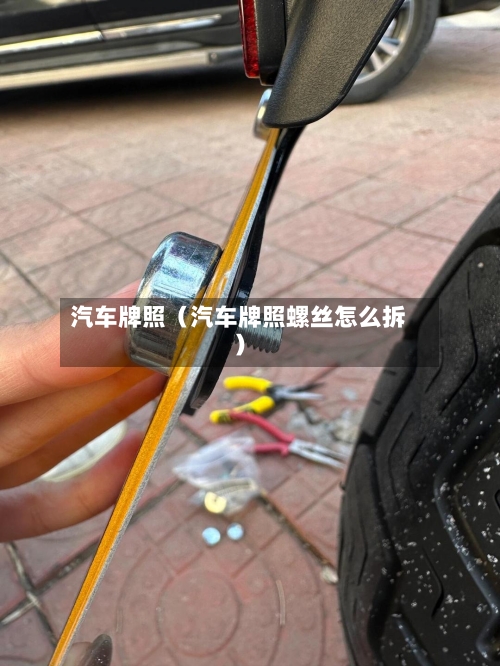 汽车牌照（汽车牌照螺丝怎么拆）-第1张图片
