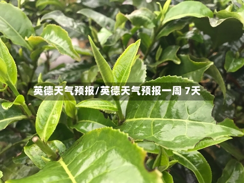 英德天气预报/英德天气预报一周 7天-第1张图片