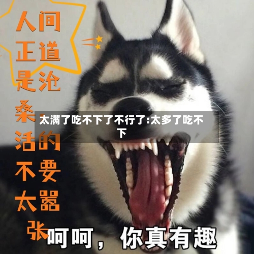 太满了吃不下了不行了:太多了吃不下-第1张图片