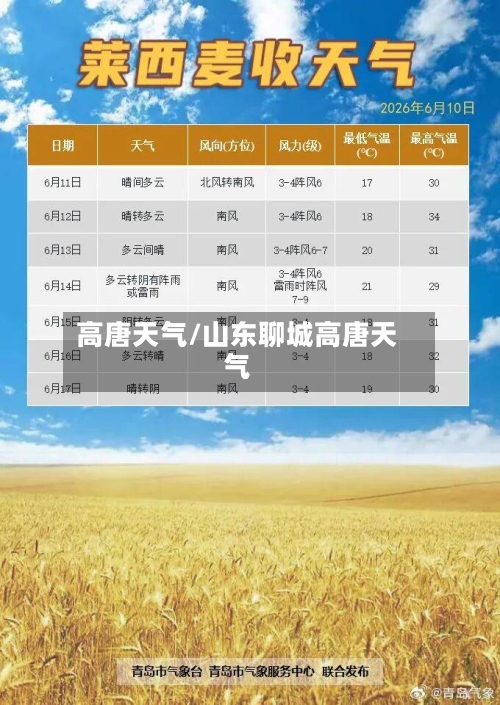 高唐天气/山东聊城高唐天气-第1张图片