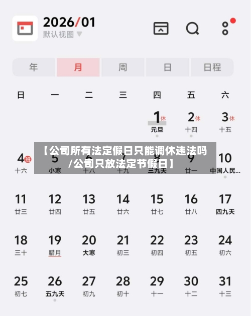 【公司所有法定假日只能调休违法吗/公司只放法定节假日】-第1张图片