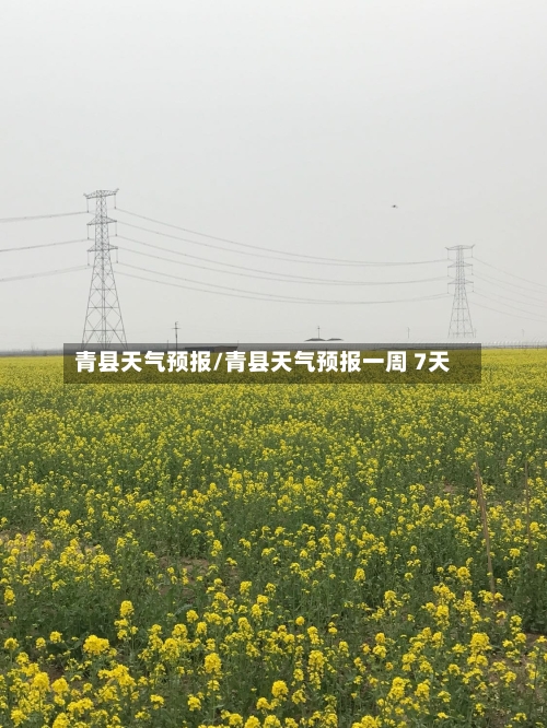 青县天气预报/青县天气预报一周 7天-第1张图片