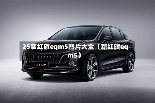 25款红旗eqm5图片大全（新红旗eqm5）-第1张图片