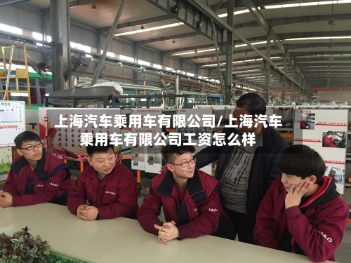 上海汽车乘用车有限公司/上海汽车乘用车有限公司工资怎么样-第1张图片