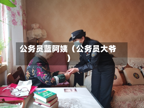 公务员蓝阿姨(公务员大爷)-第1张图片