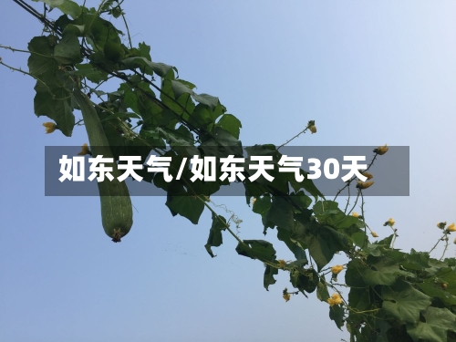 如东天气/如东天气30天-第1张图片