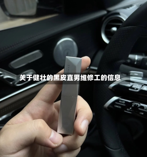 关于健壮的黑皮直男维修工的信息-第1张图片