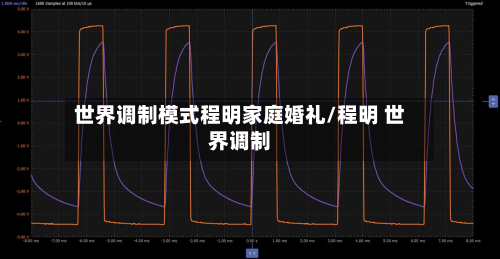 世界调制模式程明家庭婚礼/程明 世界调制-第1张图片