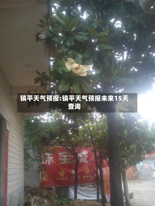 镇平天气预报:镇平天气预报未来15天查询-第1张图片