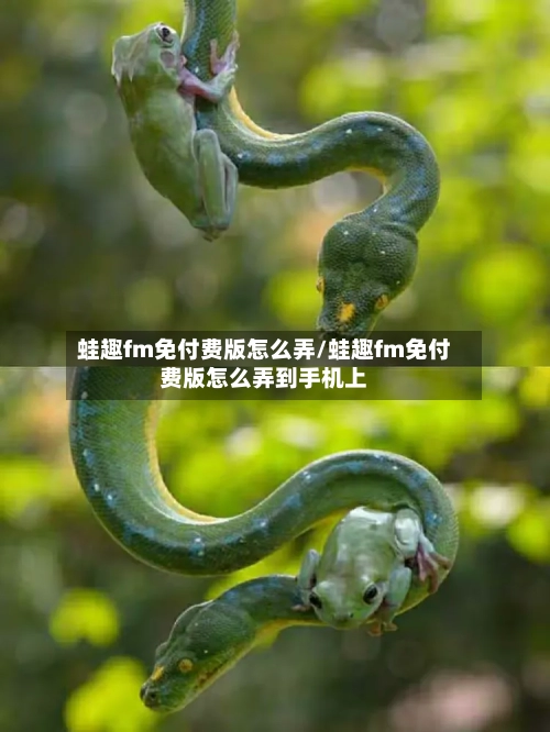 蛙趣fm免付费版怎么弄/蛙趣fm免付费版怎么弄到手机上-第1张图片