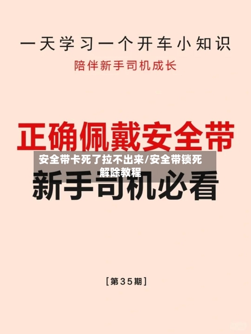 安全带卡死了拉不出来/安全带锁死解除教程-第1张图片