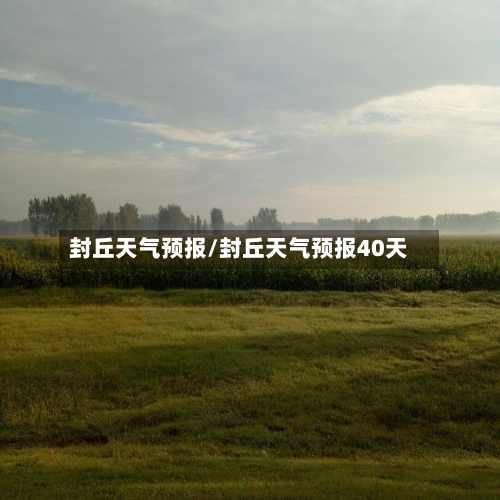 封丘天气预报/封丘天气预报40天-第1张图片