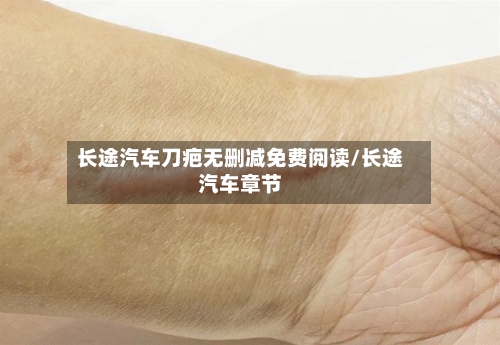 长途汽车刀疤无删减免费阅读/长途汽车章节-第1张图片