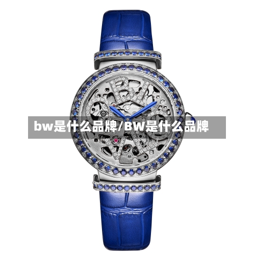 bw是什么品牌/BW是什么品牌-第1张图片
