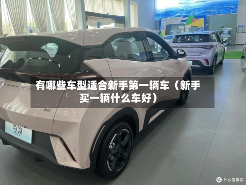 有哪些车型适合新手第一辆车(新手买一辆什么车好)-第1张图片