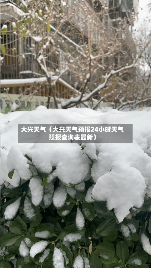 大兴天气(大兴天气预报24小时天气预报查询表最新)-第1张图片
