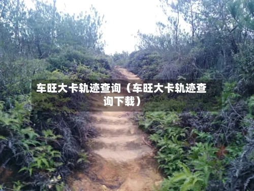 车旺大卡轨迹查询(车旺大卡轨迹查询下载)-第1张图片