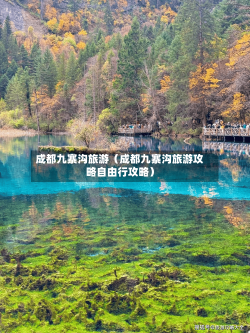 成都九寨沟旅游(成都九寨沟旅游攻略自由行攻略)-第1张图片
