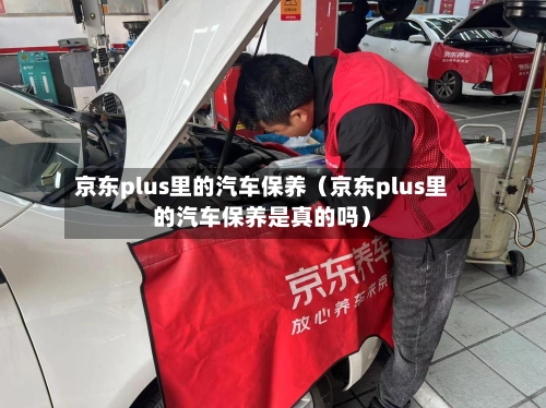 京东plus里的汽车保养（京东plus里的汽车保养是真的吗）-第1张图片