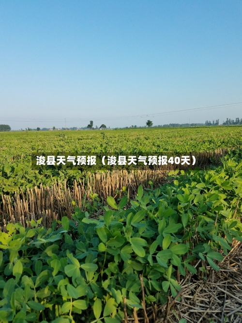 浚县天气预报(浚县天气预报40天)-第1张图片