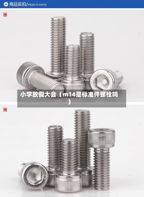小学放假大会（m14是标准件螺栓吗）-第1张图片