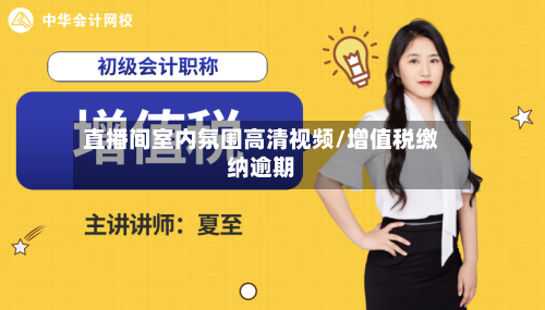 直播间室内氛围高清视频/增值税缴纳逾期-第1张图片