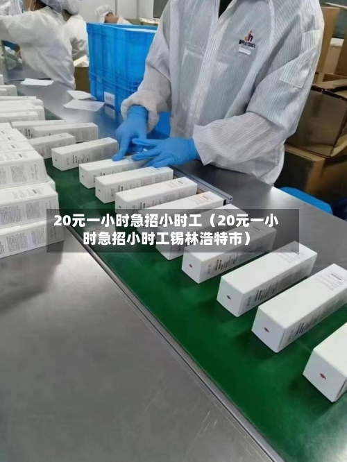 20元一小时急招小时工(20元一小时急招小时工锡林浩特市)-第1张图片