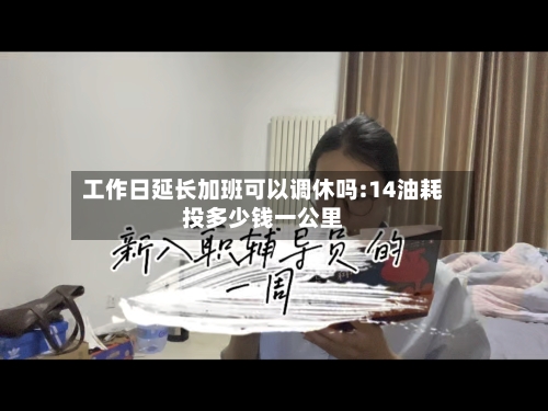 工作日延长加班可以调休吗:14油耗投多少钱一公里-第1张图片