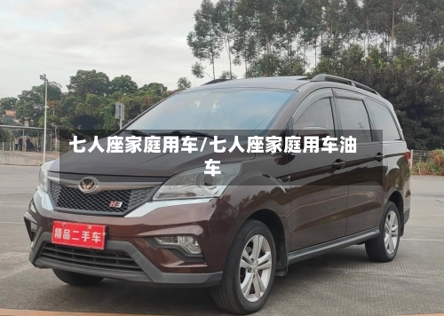 七人座家庭用车/七人座家庭用车油车-第1张图片