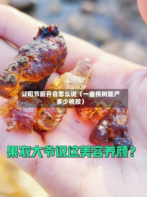 公司节前开会怎么说(一亩桃树能产多少桃胶)-第1张图片