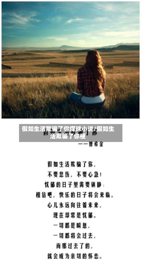 假如生活欺骗了你煤球小说/假如生活欺骗了你梗-第1张图片