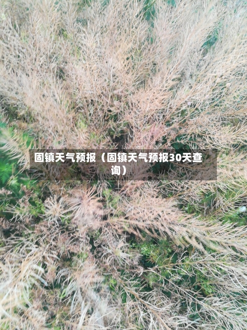 固镇天气预报（固镇天气预报30天查询）-第1张图片