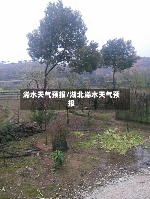 浠水天气预报/湖北浠水天气预报-第1张图片