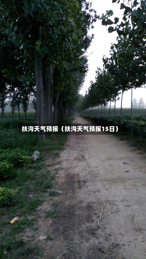 扶沟天气预报(扶沟天气预报15日)-第1张图片